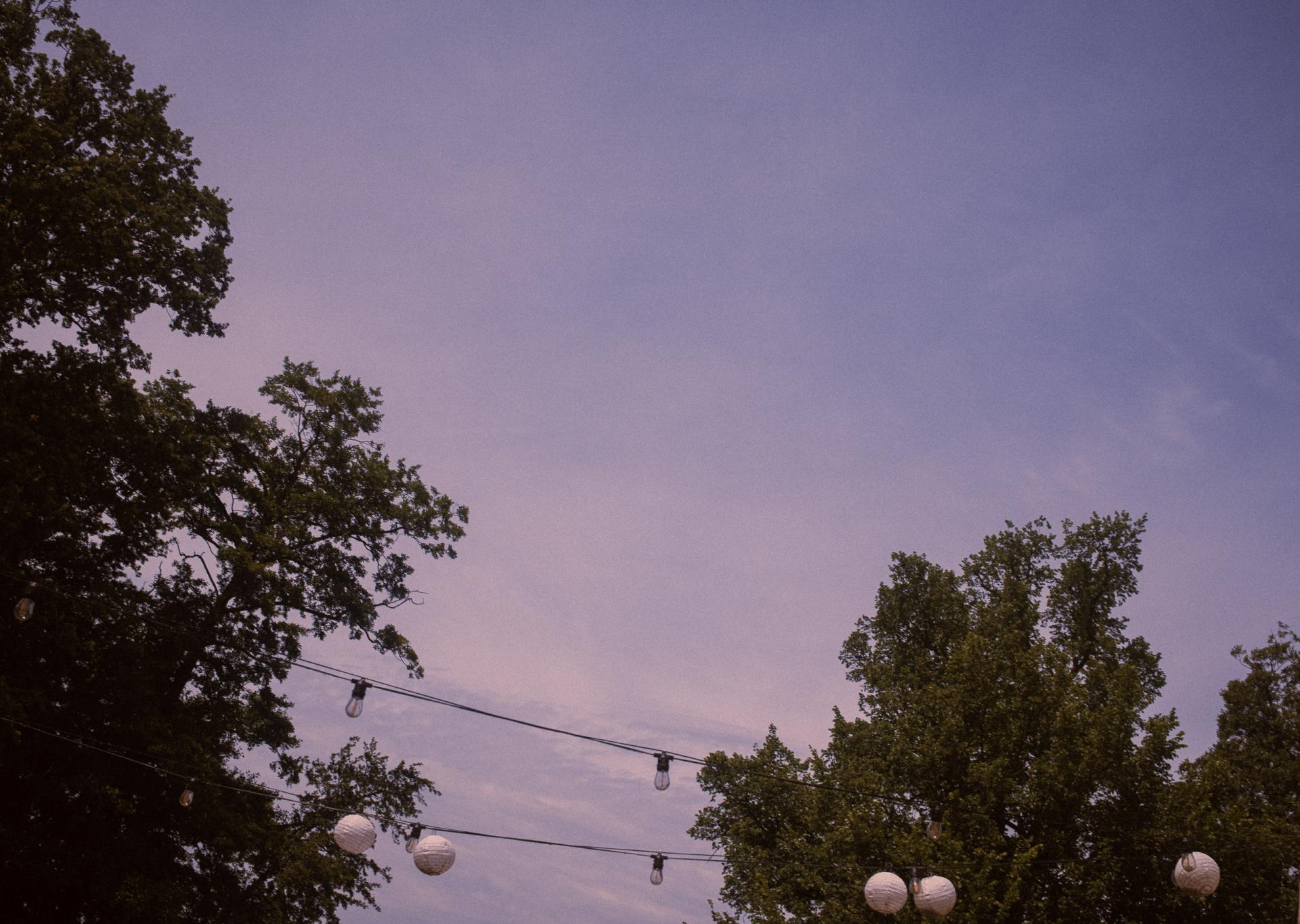 Summer opening Wellness Festival