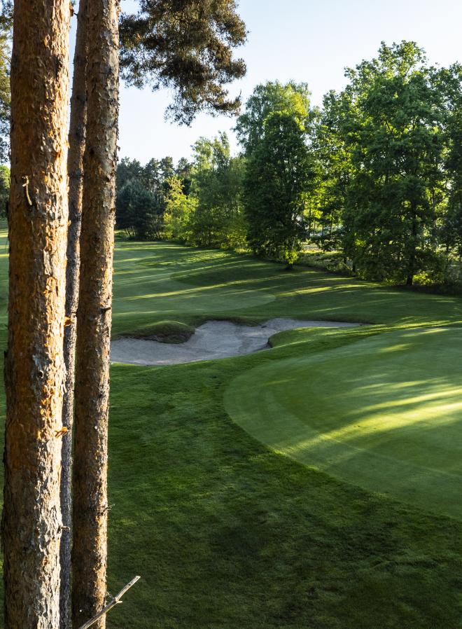 Nook Golf rate